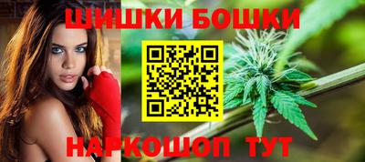 не бодяженный Гай