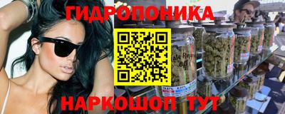 не бодяженный Гай