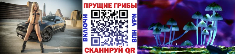 купить  цена  Луховицы  Псилоцибиновые грибы мицелий 